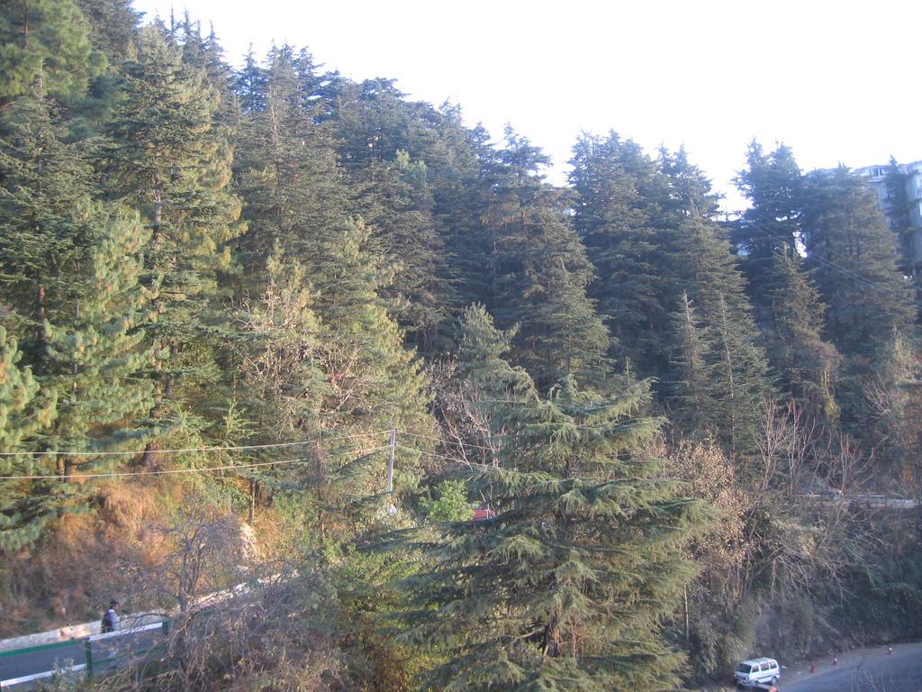 Shimla View Home Экстерьер фото