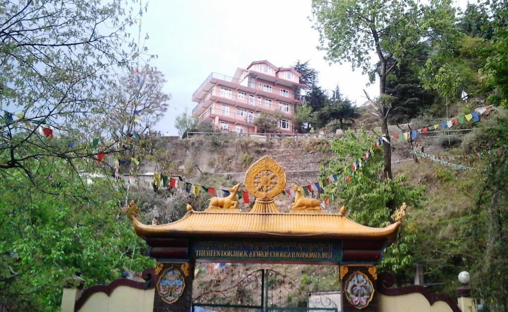 Shimla View Home Экстерьер фото